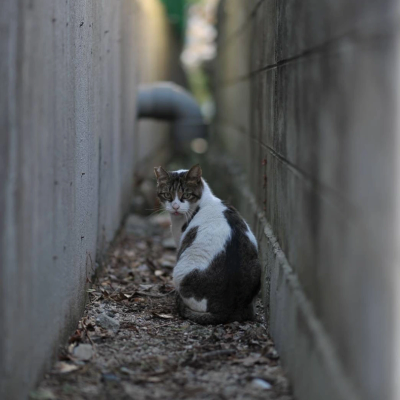 柳 怜臣 の写真